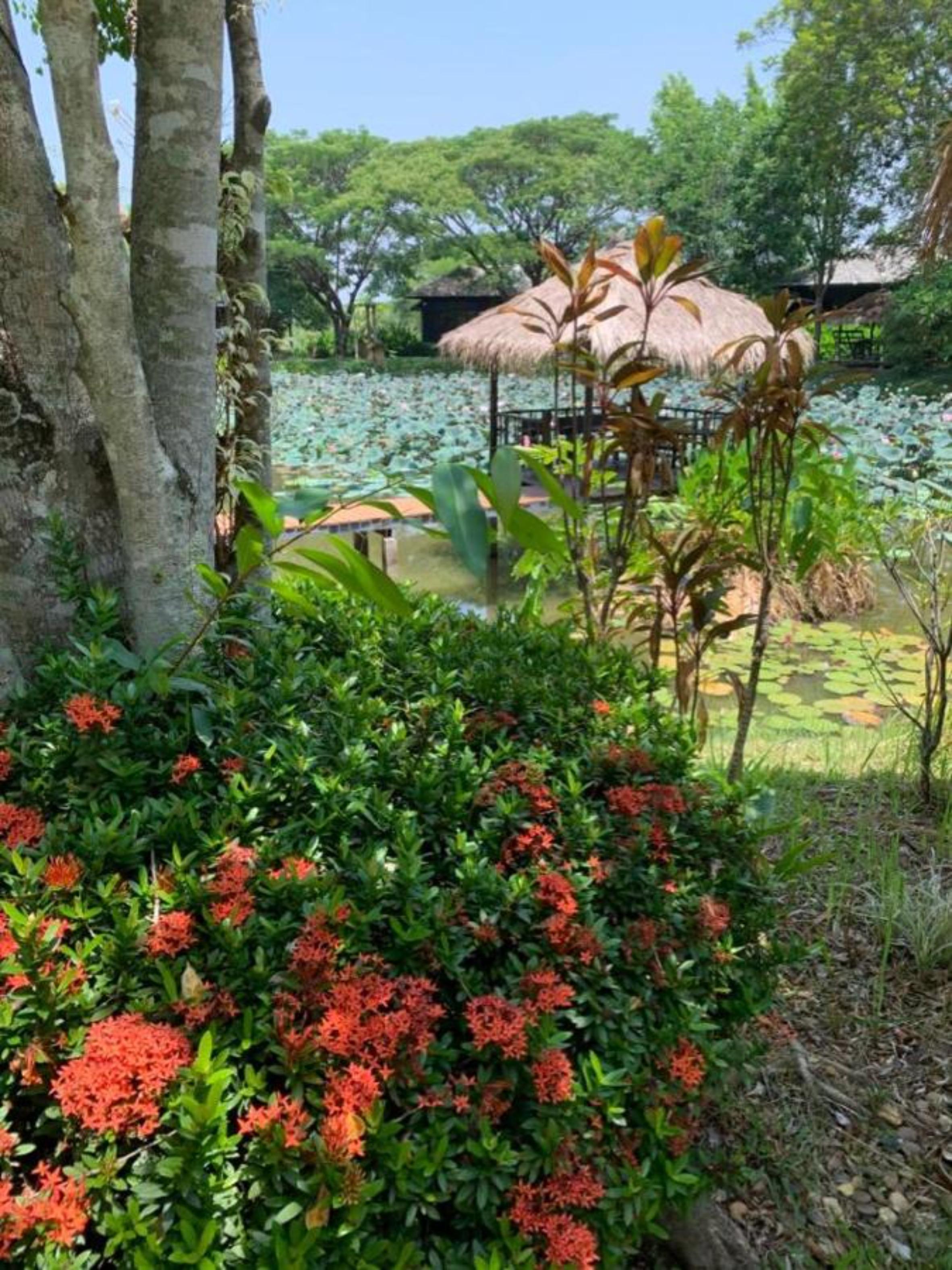 Doi Saket Baan Chai Thung Resort מראה חיצוני תמונה